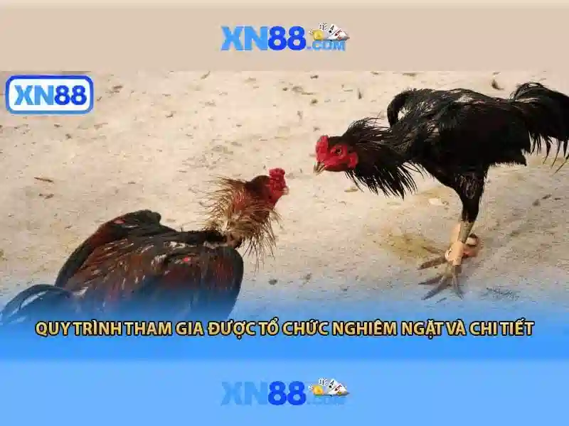 xn88: Hướng dẫn toàn diện về cược trực tuyến, an toàn và tối ưu hóa trải nghiệm xn88: Hướng dẫn toàn diện về cược trực tuyến, an toàn và tối ưu hóa trải nghiệm