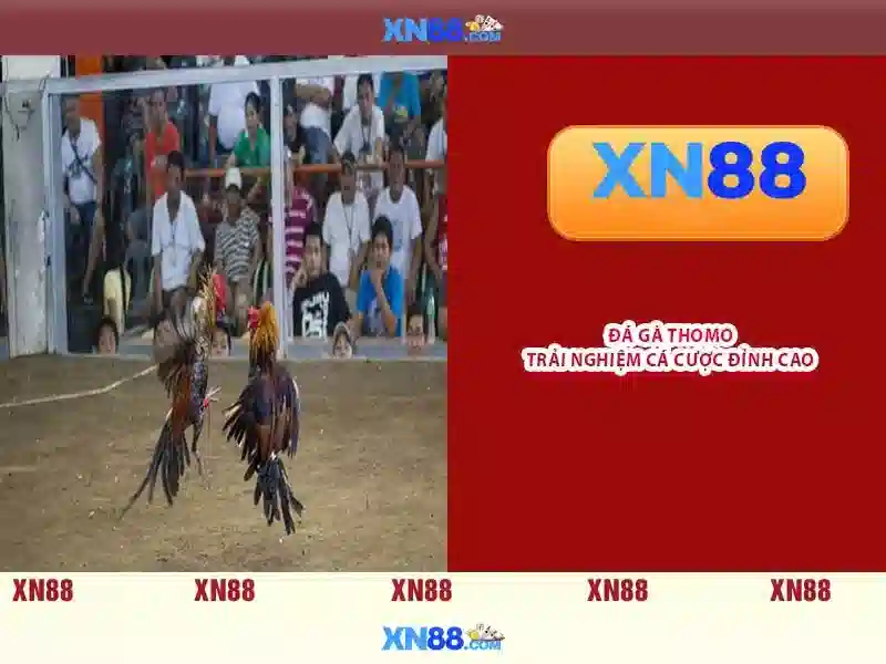 💎cá cược cờ vua💎 💎cá cược cờ vua💎