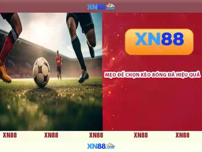 💎tỷ lệ cá cược ngoại hạng anh💎 💎tỷ lệ cá cược ngoại hạng anh💎