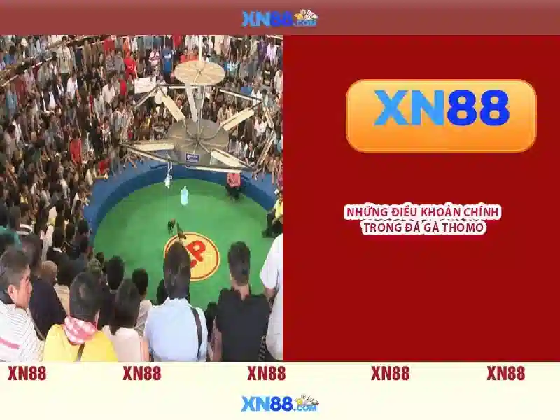 💎top 10 nhà cái uy tín số 1 hiện nay💎 💎top 10 nhà cái uy tín số 1 hiện nay💎