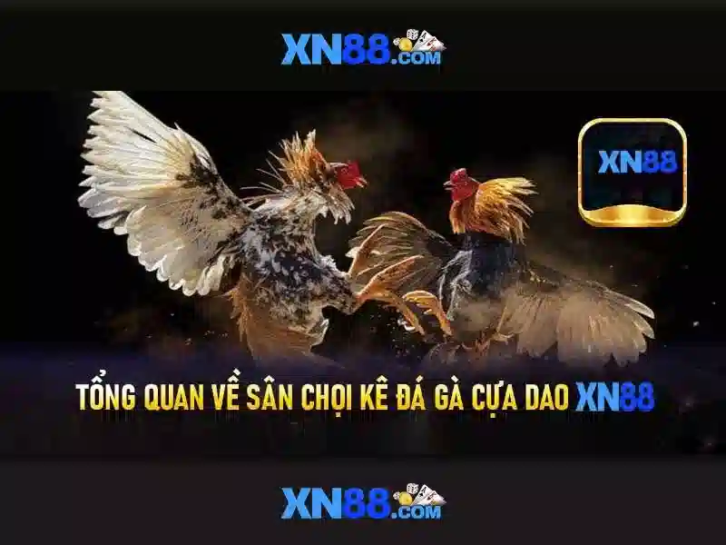 💎888 slot link 888 slot slot💎 💎888 slot link 888 slot slot💎