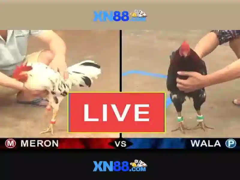 💎best in slot warlock💎 💎best in slot warlock💎