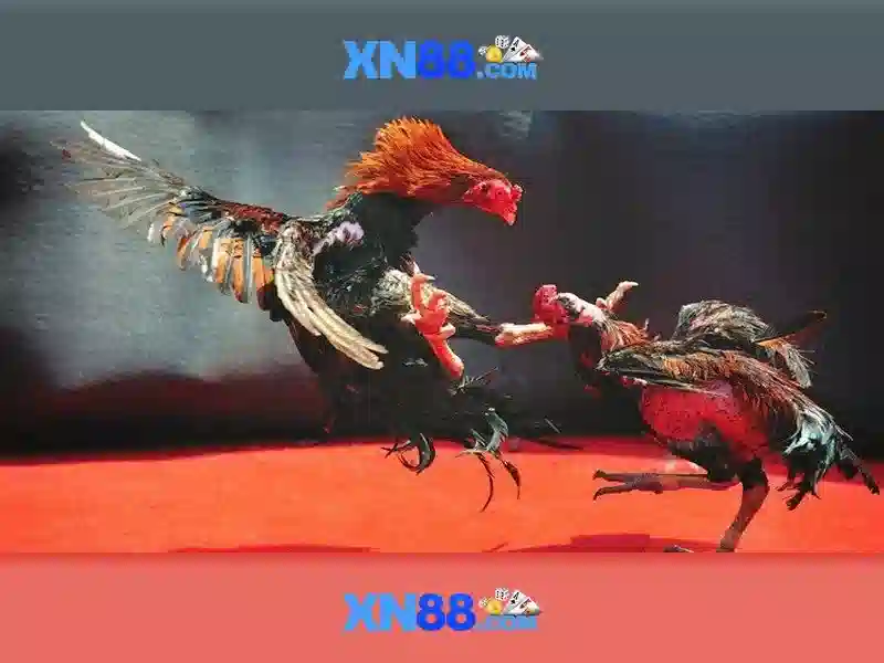 💎keo goc nha cai💎 💎keo goc nha cai💎