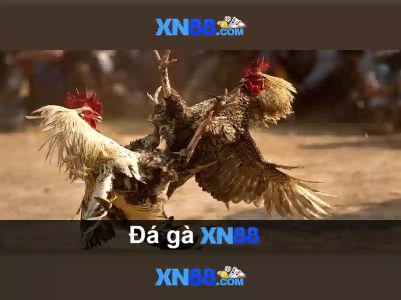 💎choi game hb88💎 - hb88 telegram code bot - hb88 tai 💎choi game hb88💎 - hb88 telegram code bot - hb88 tai