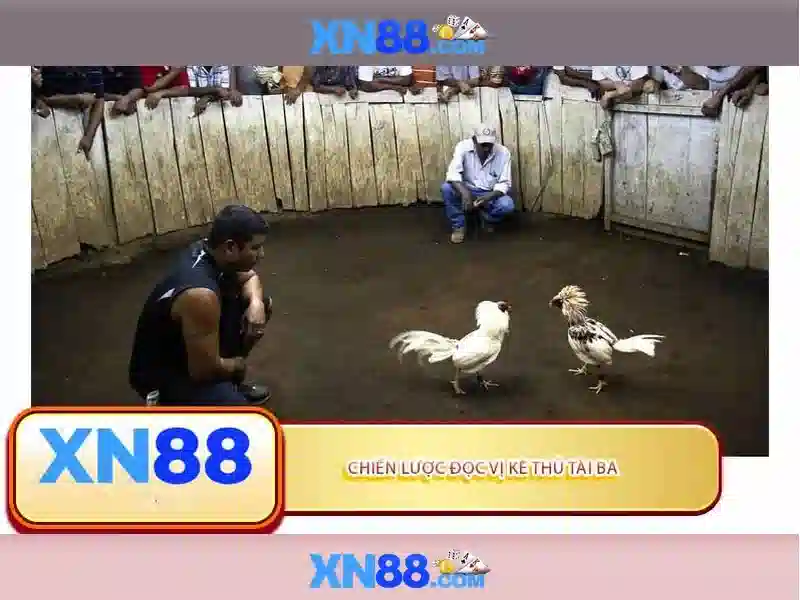 💎recensione slot rise of maya💎 💎recensione slot rise of maya💎