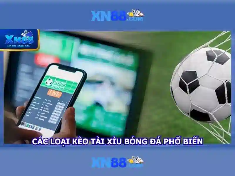 💎bài đánh giá về taxi bắc giang 247💎 💎bài đánh giá về taxi bắc giang 247💎