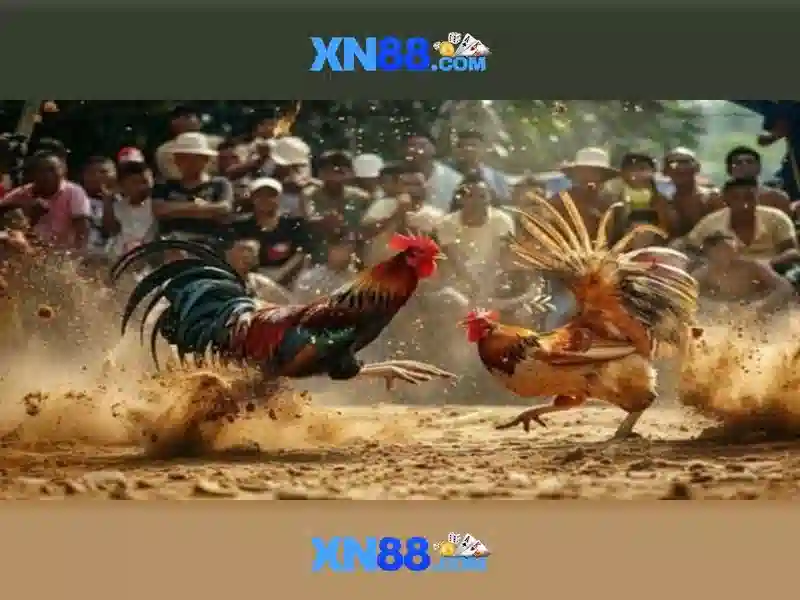 💎slots journey cruise & casino💎 💎slots journey cruise & casino💎