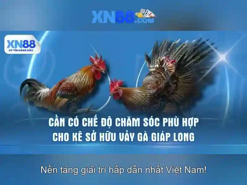 💎bị khai đánh bạc💎 💎bị khai đánh bạc💎