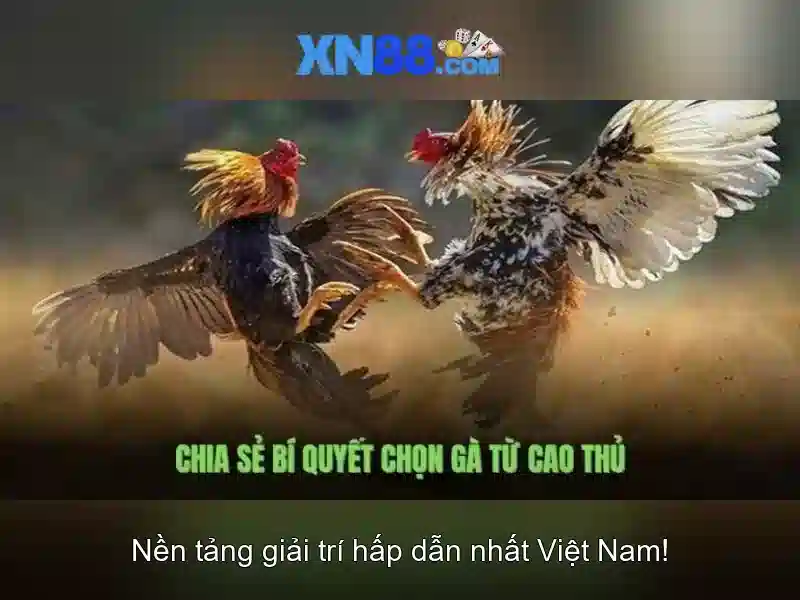 💎slots without internet💎 💎slots without internet💎