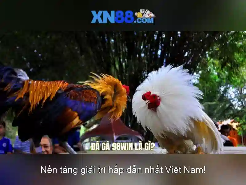 💎sweetbonanza slot💎 💎sweetbonanza slot💎