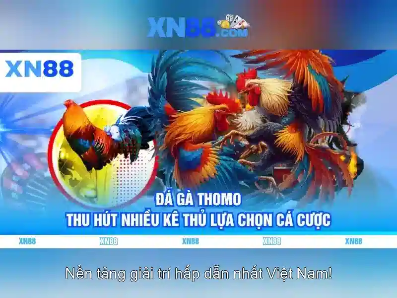 💎m98.bet slot💎 💎m98.bet slot💎