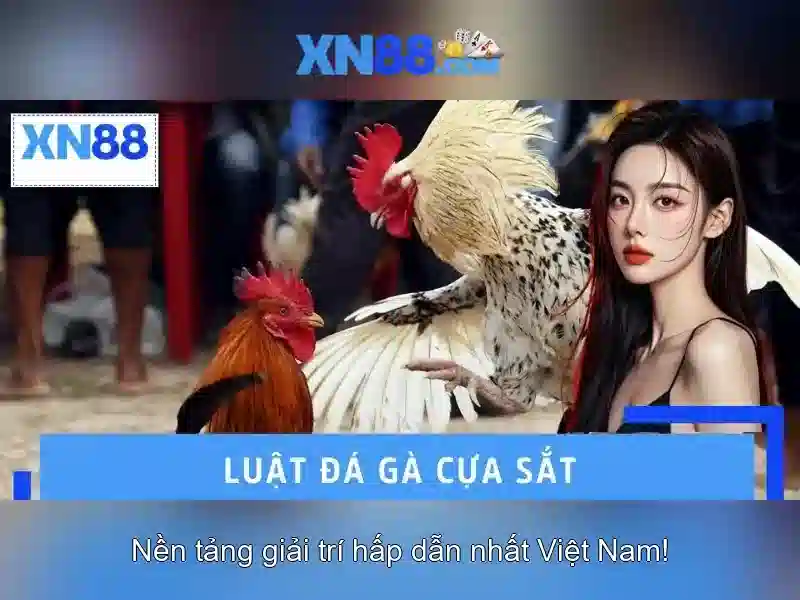 💎888 slot 365 bet💎 💎888 slot 365 bet💎