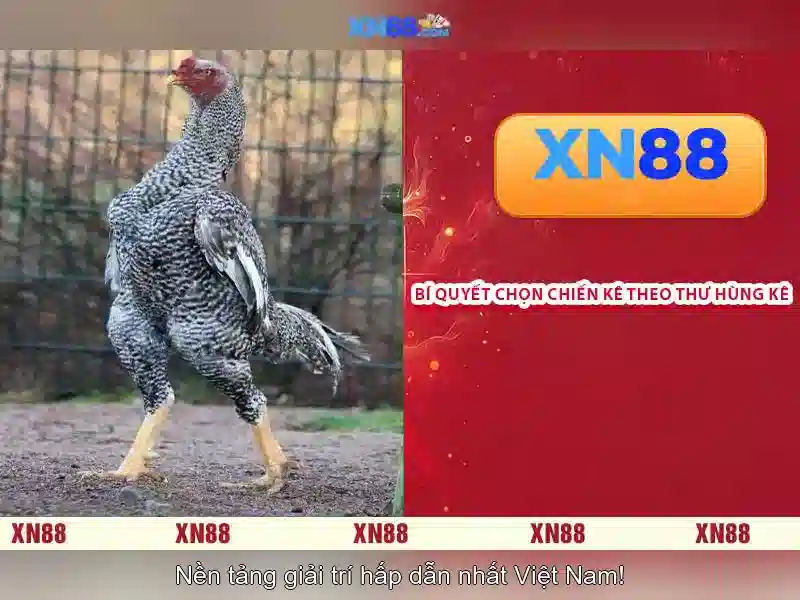 💎playnet slots login💎 💎playnet slots login💎