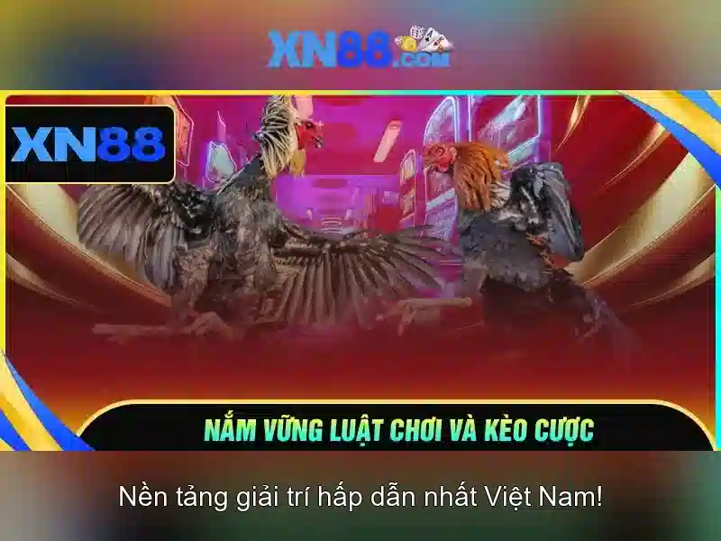💎789bet trang chủ nhà cái cá cược💎 💎789bet trang chủ nhà cái cá cược💎