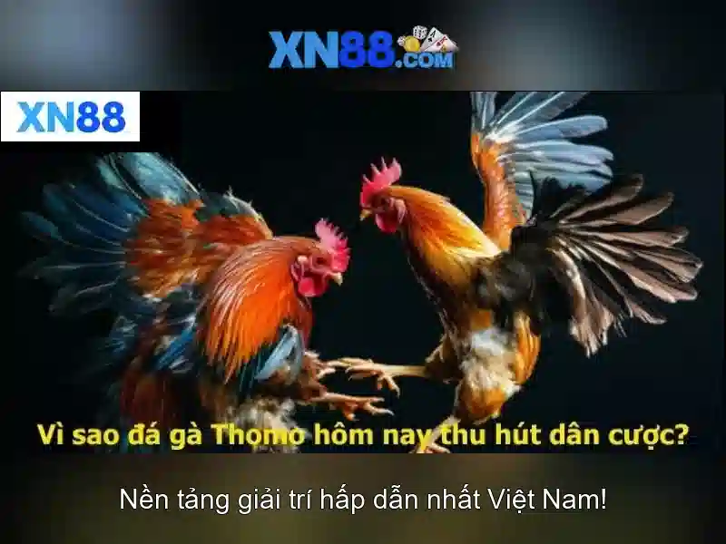 💎vn888 web💎 - app vn888 - vn888 code 💎vn888 web💎 - app vn888 - vn888 code