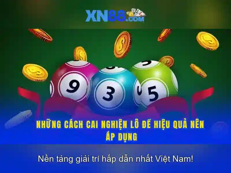 hỗ trợ người chơi - xn88 hỗ trợ người chơi - xn88