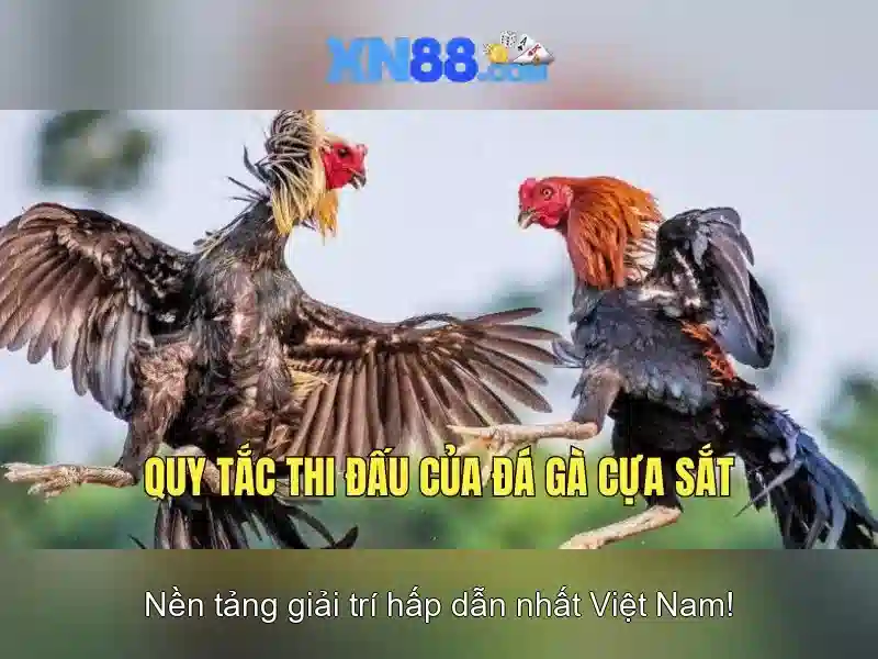 💎trực tiêp bóng đá kèo nhà cái💎 💎trực tiêp bóng đá kèo nhà cái💎