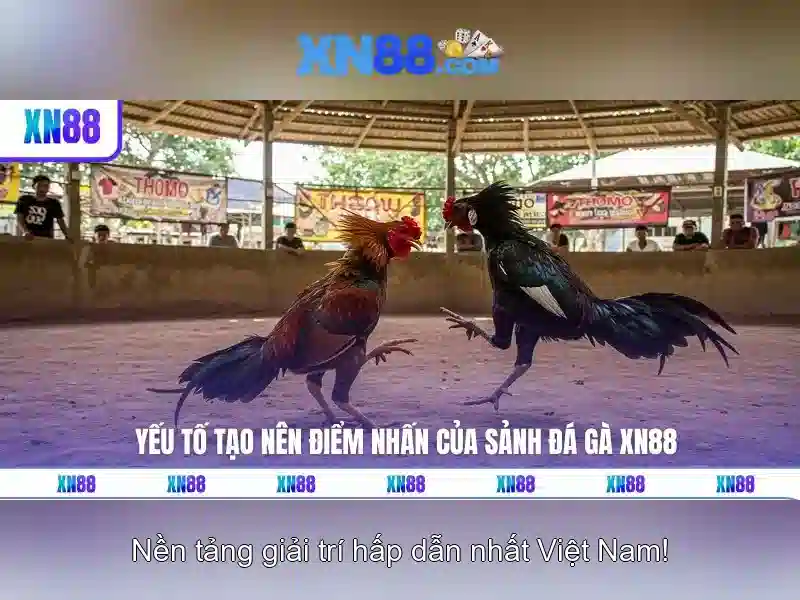 💎template slot💎 💎template slot💎