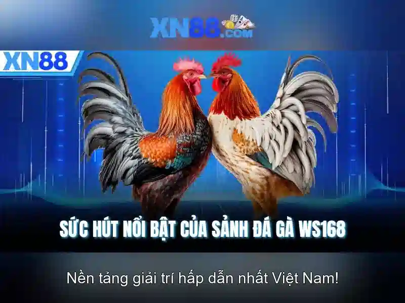 💎e.t. lost socks slot💎 💎e.t. lost socks slot💎