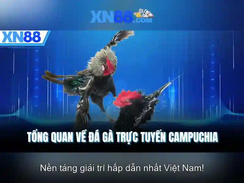 💎chempion slots💎 💎chempion slots💎