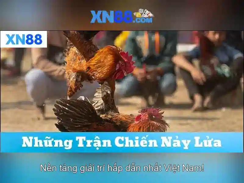 💎lion dance slots💎 💎lion dance slots💎